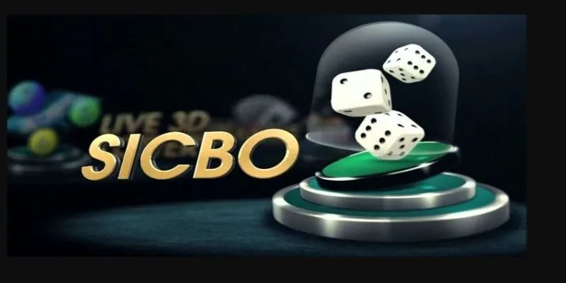 Thỏa mãn đam mê cùng hệ thống bàn đa dạng